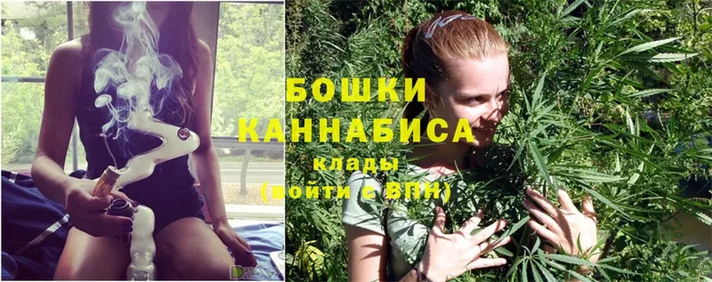 купить наркотики сайты  МЕГА онион  Марихуана Ganja  нарко площадка клад  Динская 